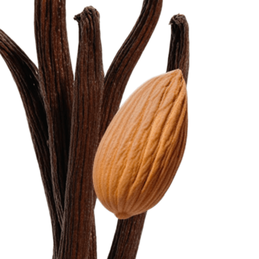 Fragrance Emporium – Parfums de Marly Pegasus Eau de Parfum fragrance notes highlighted with almond and vanilla, symbolizing its sweet and woody aromatic composition.