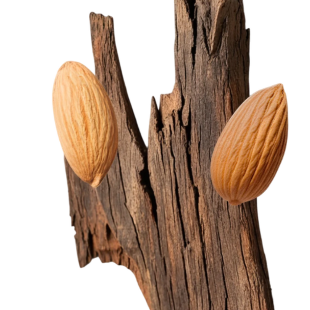 Fragrance Emporium – Parfums de Marly Pegasus Exclusif Eau de Parfum fragrance notes highlighted with almonds and agarwood, symbolizing its rich oriental composition.